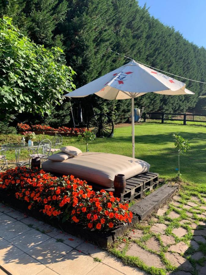 Agroturismo Anziola Oiartzun Esterno foto