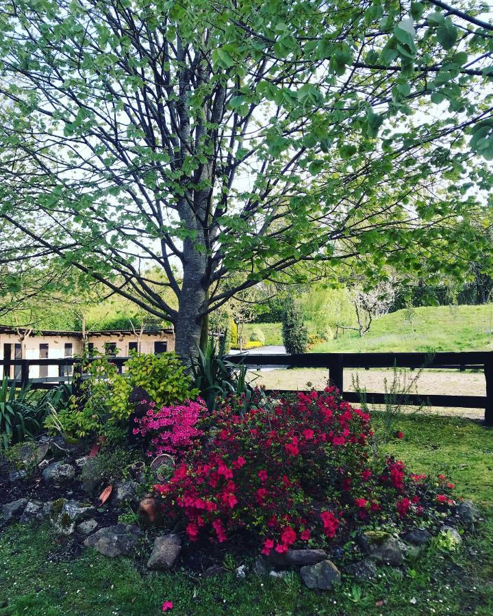 Agroturismo Anziola Oiartzun Esterno foto