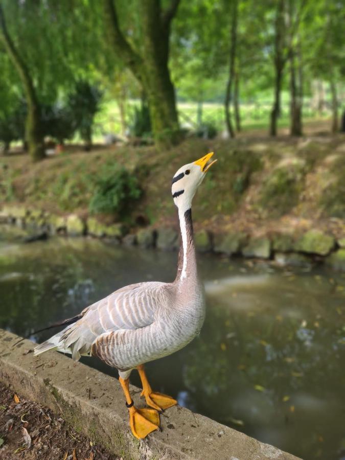 Agroturismo Anziola Oiartzun Esterno foto